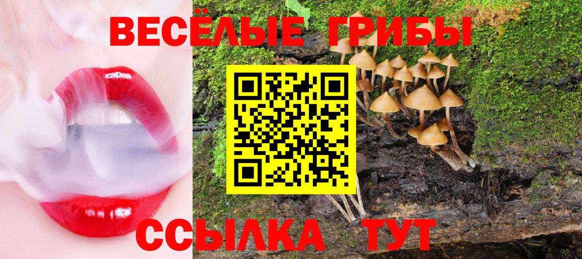 Галлюциногенные грибы Cubensis  как найти   Алейск  Псилоцибиновые грибы Magic Shrooms  Вход с VPN 